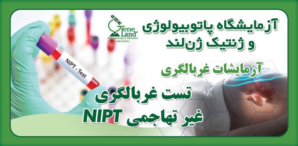 ژن لند 