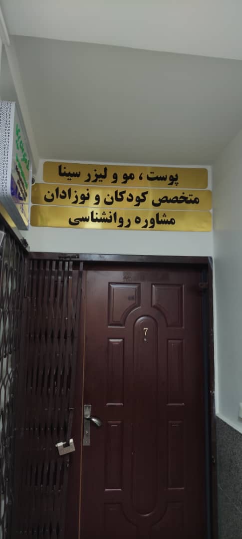 مینا صمدی 