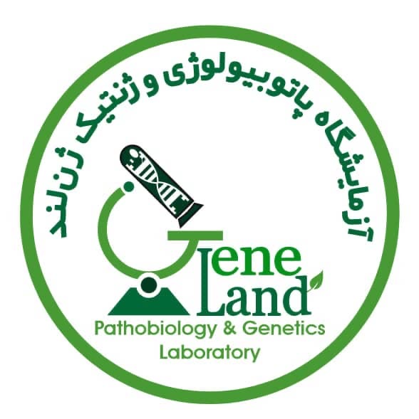 ژن لند 