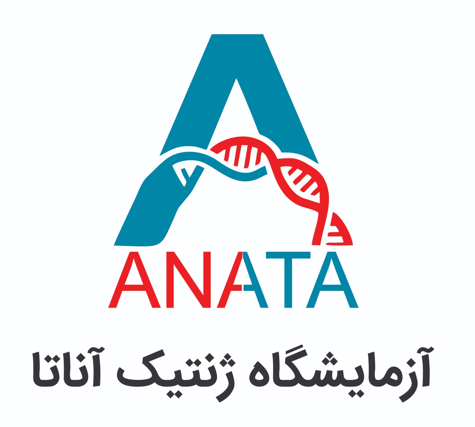 آناتا